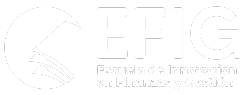 logo-efig